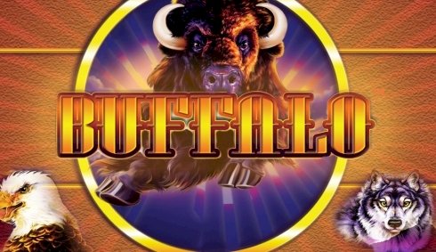 Recenzja slotu Buffalo (Aristocrat) przez PlaySafePl